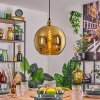 Koyoto Lampadario a sospensione, Lampada a sfera, Lampada a sospensione Oro, 1-Luce