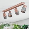 Nelar Plafoniera, Faretto da soffitto Bronzo, Cromo, 4-Luci