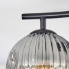Ripoll Plafoniera, Lampada a sfera Chiaro, Grigio fumo, 2-Luci