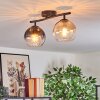 Koyoto Plafoniera, Lampada a sfera Ambrato, Chiaro, Grigio fumo, 2-Luci