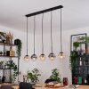 Gastor Lampadario a sospensione, Lampada a sfera, Lampada a sospensione Ambrato, Chiaro, Grigio fumo, 5-Luci