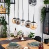 Gastor Lampadario a sospensione, Lampada a sfera, Lampada a sospensione Ambrato, Chiaro, Grigio fumo, 5-Luci
