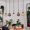 Gastor Lampadario a sospensione, Lampada a sfera, Lampada a sospensione Ambrato, Chiaro, Grigio fumo, 5-Luci