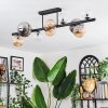 Chehalis Plafoniera, Lampada a sfera Ambrato, Chiaro, Grigio fumo, 10-Luci