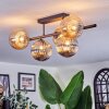 Chehalis Plafoniera, Lampada a sfera Ambrato, Grigio fumo, 5-Luci