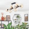 Koyoto Plafoniera, Lampada a sfera Ambrato, Chiaro, 10-Luci