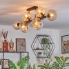 Koyoto Plafoniera, Lampada a sfera Ambrato, Chiaro, Grigio fumo, 10-Luci