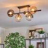 Gastor Plafoniera, Lampada a sfera Ambrato, Chiaro, Grigio fumo, 5-Luci
