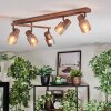 Nelar Plafoniera, Faretto da soffitto Bronzo, Cromo, 5-Luci