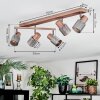 Nelar Plafoniera, Faretto da soffitto Bronzo, Cromo, 5-Luci