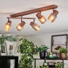 Nelar Plafoniera, Faretto da soffitto Bronzo, Cromo, 5-Luci