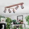 Nelar Plafoniera, Faretto da soffitto Bronzo, Cromo, 5-Luci