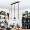 Gastor Lampadario a sospensione, Lampada a sfera, Lampada a sospensione Ambrato, Chiaro, Grigio fumo, 3-Luci