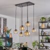 Koyoto Lampadario a sospensione, Lampada a sfera, Lampada a sospensione Ambrato, Chiaro, 6-Luci
