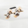 Gastor Plafoniera, Lampada a sfera Oro, Nero, 8-Luci