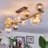 Chehalis Plafoniera, Lampada a sfera Oro, Nero, 10-Luci