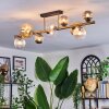 Chehalis Plafoniera, Lampada a sfera Oro, Nero, 10-Luci