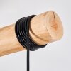 Koyoto Lampadario a sospensione, Lampada a sfera, Lampada a sospensione Écru, Nero, 5-Luci