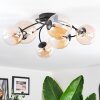 Chehalis Plafoniera, Lampada a sfera Ambrato, Chiaro, 6-Luci