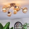 Chehalis Plafoniera, Lampada a sfera Ambrato, Chiaro, 6-Luci