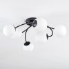 Chehalis Plafoniera, Lampada a sfera Bianco, 6-Luci