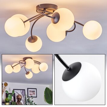 Chehalis Plafoniera, Lampada a sfera Bianco, 6-Luci