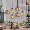 Koyoto Lampadario a sospensione, Lampada a sfera, Lampada a sospensione Ambrato, Chiaro, Grigio fumo, 6-Luci