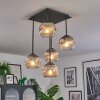 Ripoll Plafoniera, Lampada a sfera Cromo, Chiaro, Grigio fumo, 5-Luci