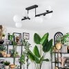 Chehalis Plafoniera, Lampada a sfera Bianco, 8-Luci