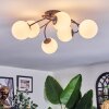 Chehalis Plafoniera, Lampada a sfera Bianco, 6-Luci