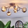 Chehalis Plafoniera, Lampada a sfera Grigio fumo, 6-Luci