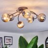 Chehalis Plafoniera, Lampada a sfera Grigio fumo, 6-Luci