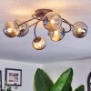 Chehalis Plafoniera, Lampada a sfera Grigio fumo, 6-Luci
