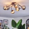 Chehalis Plafoniera, Lampada a sfera Grigio fumo, 6-Luci