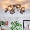 Chehalis Plafoniera, Lampada a sfera 20 cm Chiaro, Grigio fumo, 6-Luci Chehalis Plafoniera, Lampada a sfera 20 cm Chiaro, Grigio fumo, 6-Luci