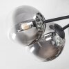 Chehalis Plafoniera, Lampada a sfera 20 cm Chiaro, Grigio fumo, 6-Luci Chehalis Plafoniera, Lampada a sfera 20 cm Chiaro, Grigio fumo, 6-Luci