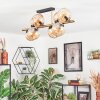 Koyoto Plafoniera, Lampada a sfera Oro, Nero, 8-Luci