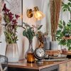Saire Applique, Faretto da parete Cromo, Ottone, 1-Luce
