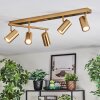 Javel Plafoniera, Faretto da soffitto Oro, 5-Luci