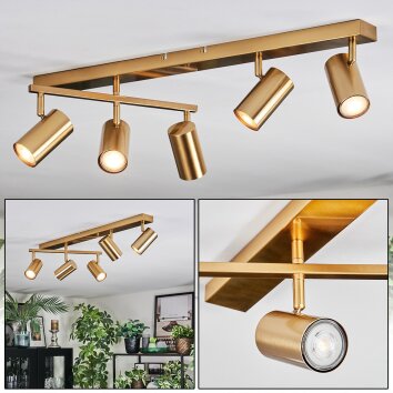 Javel Plafoniera, Faretto da soffitto Oro, 5-Luci