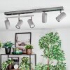 Javel Plafoniera, Faretto da soffitto Cromo, Grigio, Nero, 5-Luci