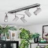 Javel Plafoniera, Faretto da soffitto Cromo, Grigio, Nero, 5-Luci