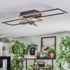 Hyacinthe Plafoniera, Lampada con ventilatore LED Cromo, Nero, 1-Luce, Telecomando