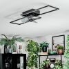 Hyacinthe Plafoniera, Lampada con ventilatore LED Cromo, Nero, 1-Luce, Telecomando