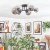 Chehalis Plafoniera, Lampada a sfera 20 cm Grigio fumo, 6-Luci