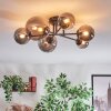 Chehalis Plafoniera, Lampada a sfera 20 cm Grigio fumo, 6-Luci