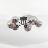 Chehalis Plafoniera, Lampada a sfera 20 cm Grigio fumo, 6-Luci