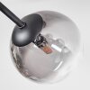 Chehalis Plafoniera, Lampada a sfera 18 cm Chiaro, Grigio fumo, 6-Luci