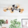 Chehalis Plafoniera, Lampada a sfera 18 cm Ambrato, 6-Luci