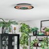 Meron Plafoniera LED Aspetto del legno, Nero, 1-Luce
